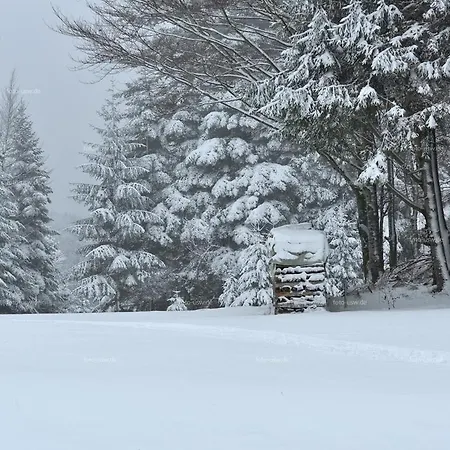 Apartman Schwarzwaldhaus Schoenbuehl, Weg Todtmoos