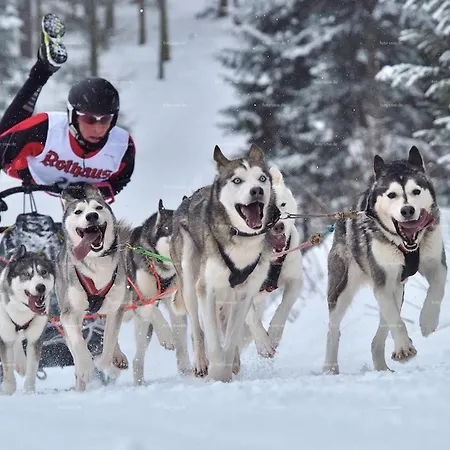 Apartman Schwarzwaldhaus Schoenbuehl, Weg *
