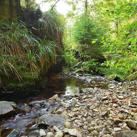 Schwarzwaldhaus Schoenbuehl, Weg Apartman